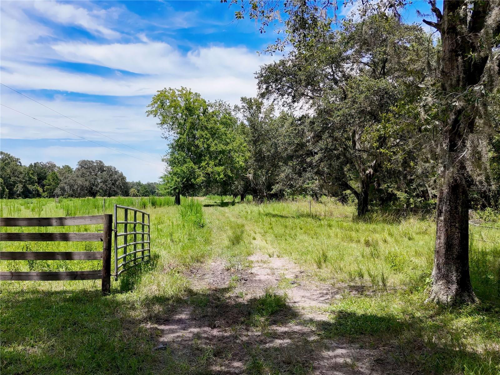 ACREAGE - Residential