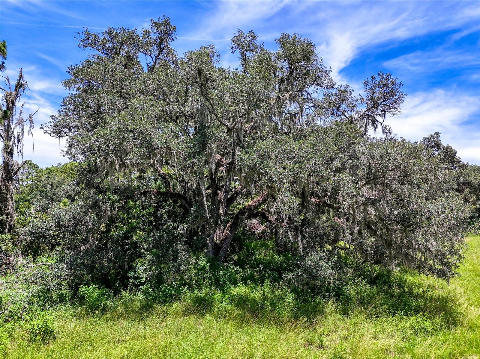 ACREAGE - Residential