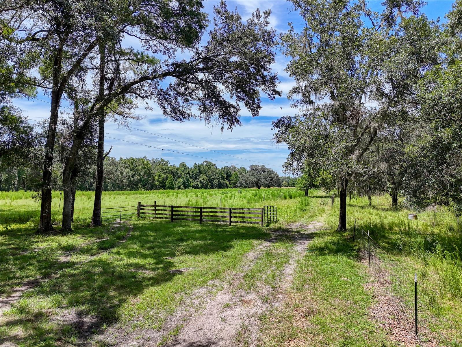 ACREAGE - Residential