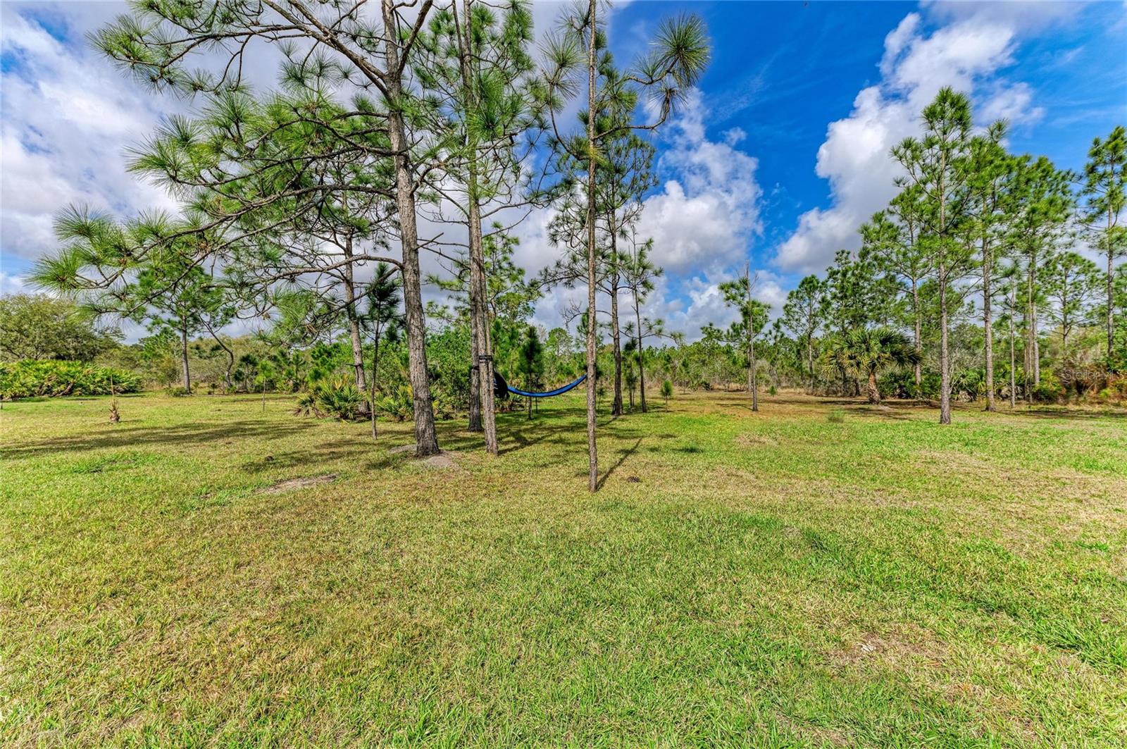 PRESERVE AT PANTHER RIDGE PH IV - Residential