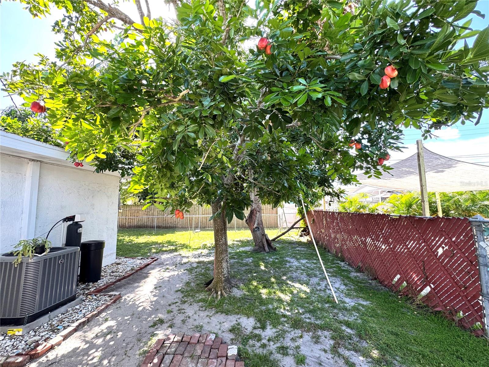 MARCHETTA PARK - Residential