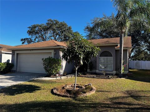 A home in VALRICO