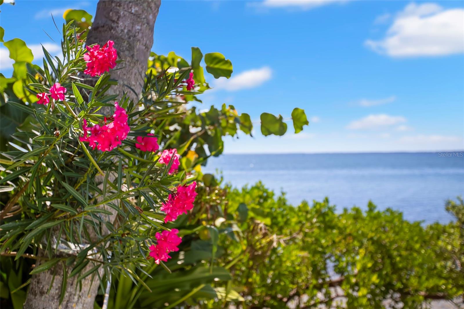 BAYWAY ISLES UNIT 2 REP - Residential