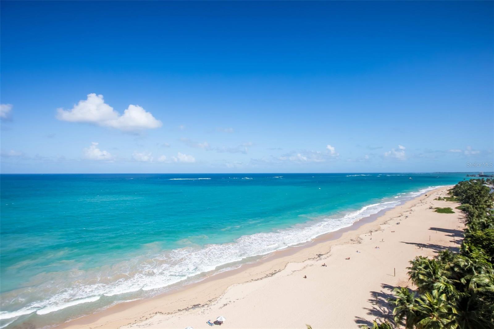 OCEAN COURT - Residential