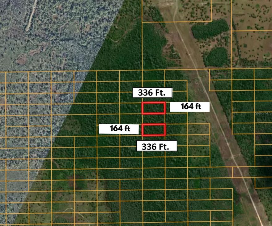 **This Listing is for TWO Parcels Being Sold Together for a Total of 2.54 Acres** Each Parcel is 1.275 acres / 55,501 Sq Ft. Per County Records. 2.54 Acres / 111,002 Sq. Ft. Total for this Great Price! Unimproved Land Zoned A-2 for Future Development. Could Be used to Enjoy Florida Wildlife, Peaceful Nature Walks, Camping or Hunting. New Owner can work with the County to start improvements/development to the area. Bring your offers and secure these large tracts of land Today!