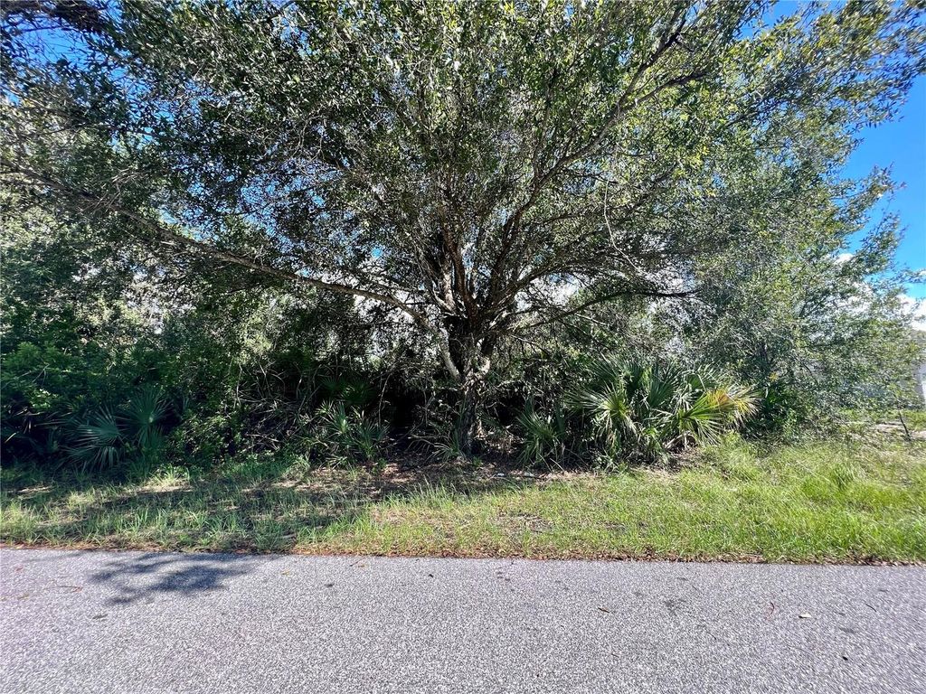 Photo of 5542 Eyerly Terrace, Port Charlotte, FL 33981 (MLS # C7500114)