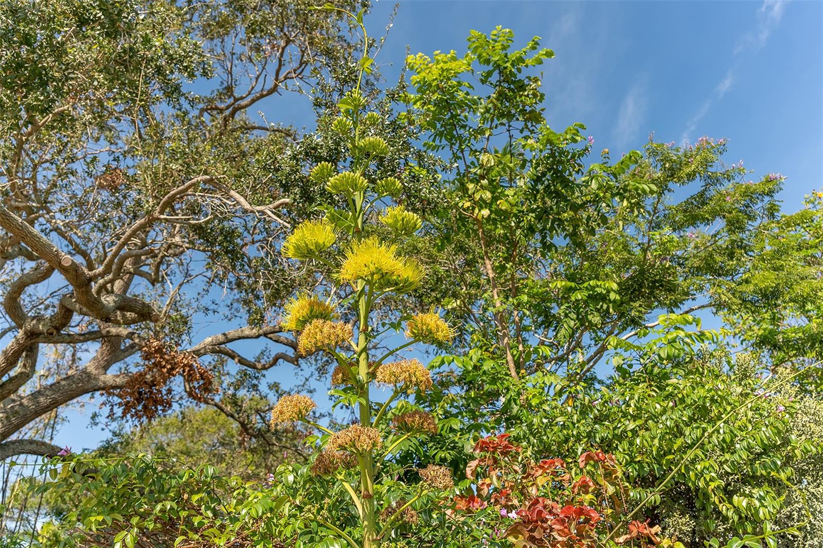 CONDO ON THE BAY TOWER II - Residential