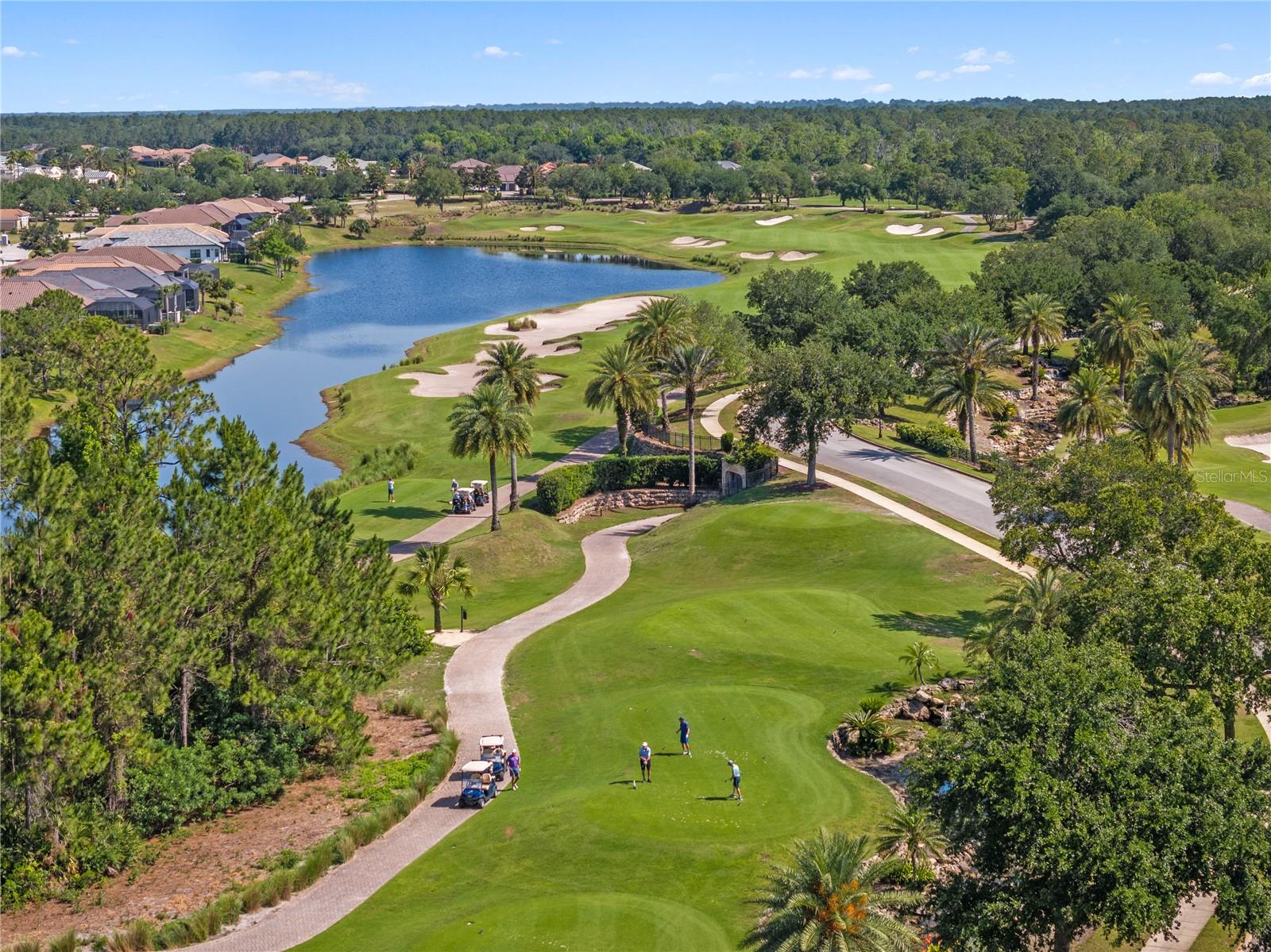 CONSERVATORY/HAMMOCK BEACH - Land