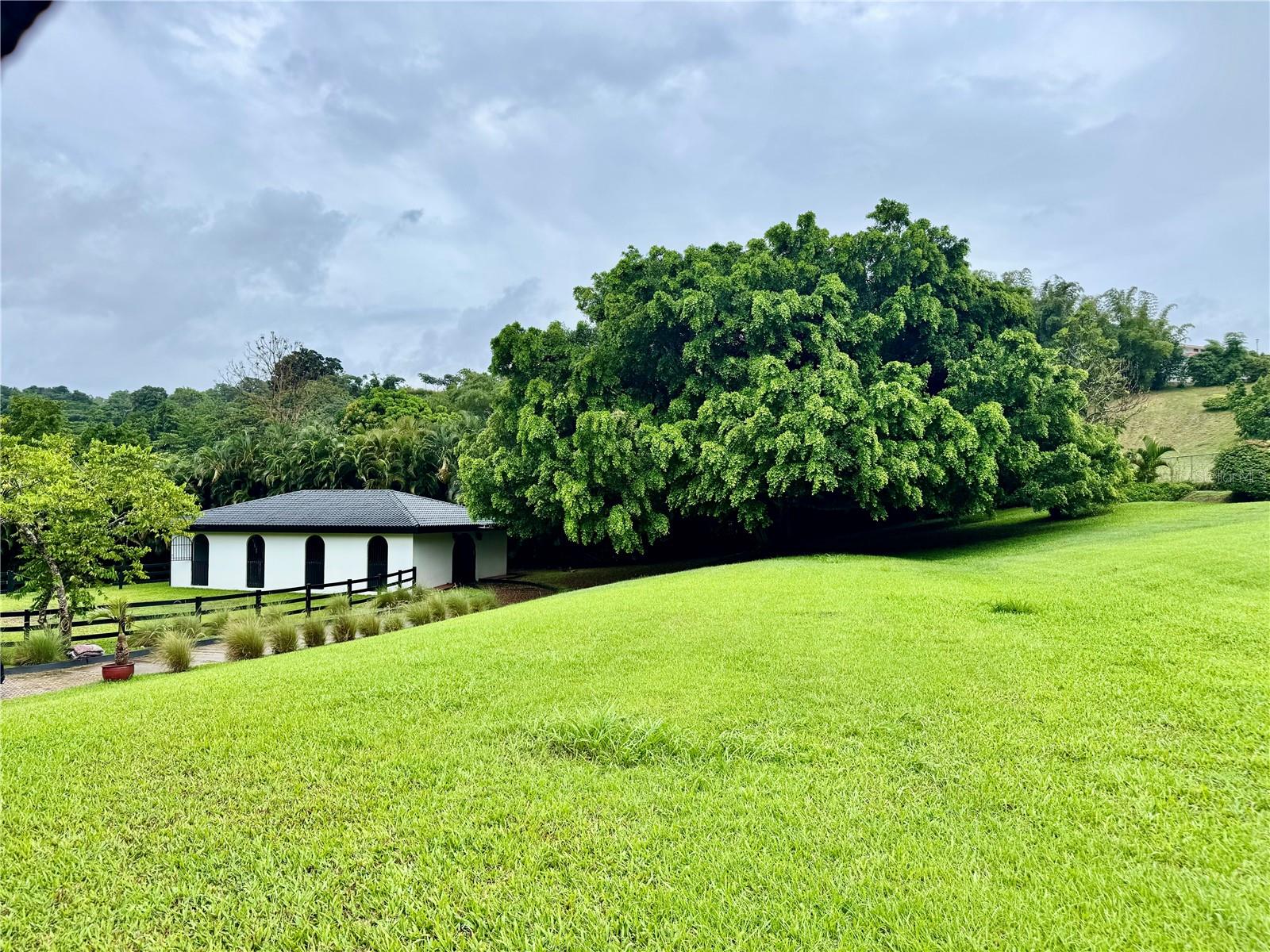 URB LOMAS DEL SOL GUAYNABO - Residential