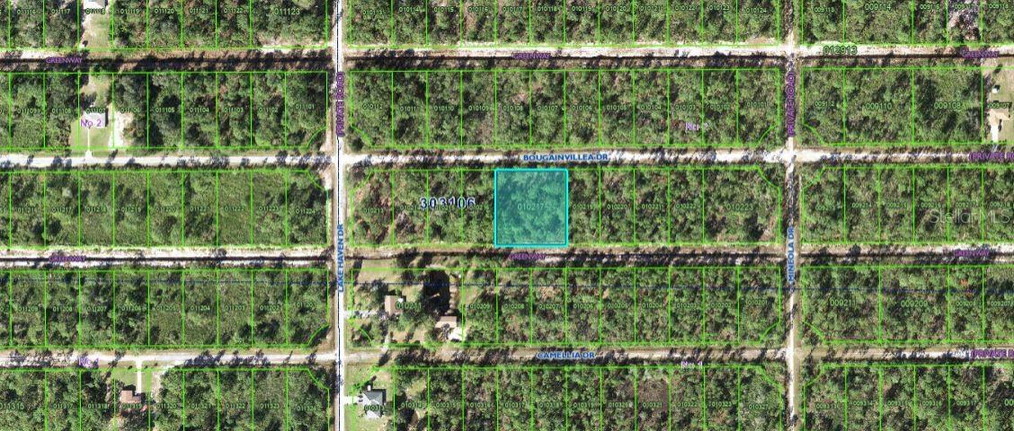 INDIAN LAKE ESTATES - Land