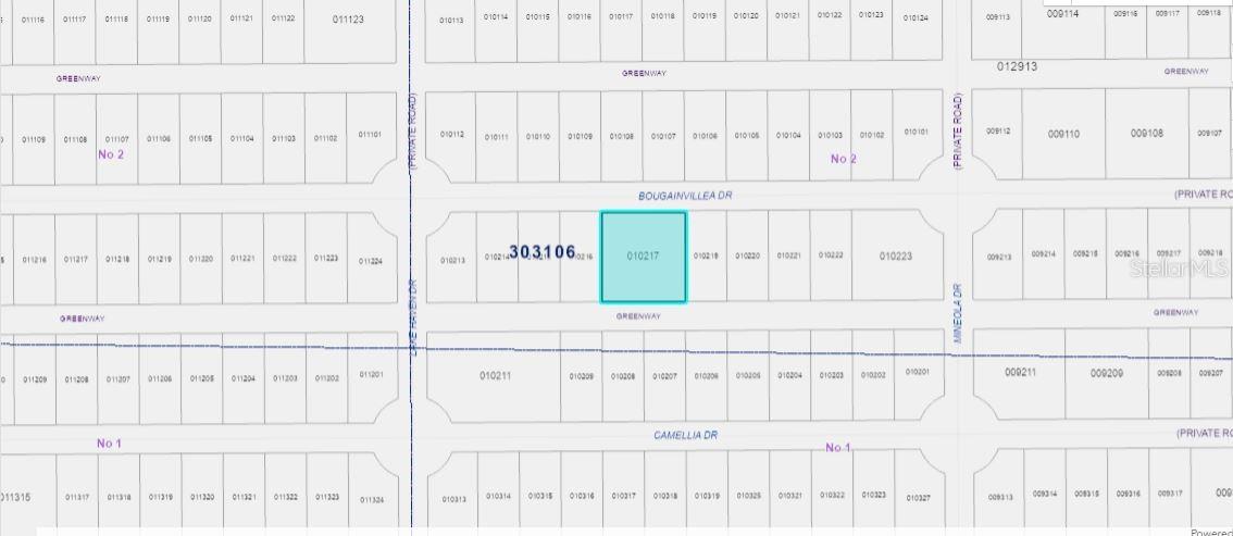 INDIAN LAKE ESTATES - Land