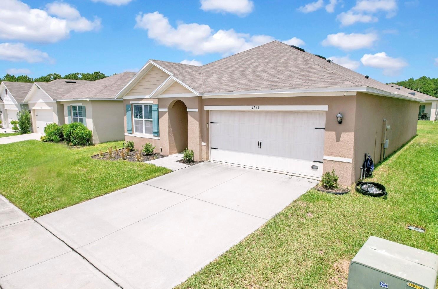 1274 IGUANA LOOP