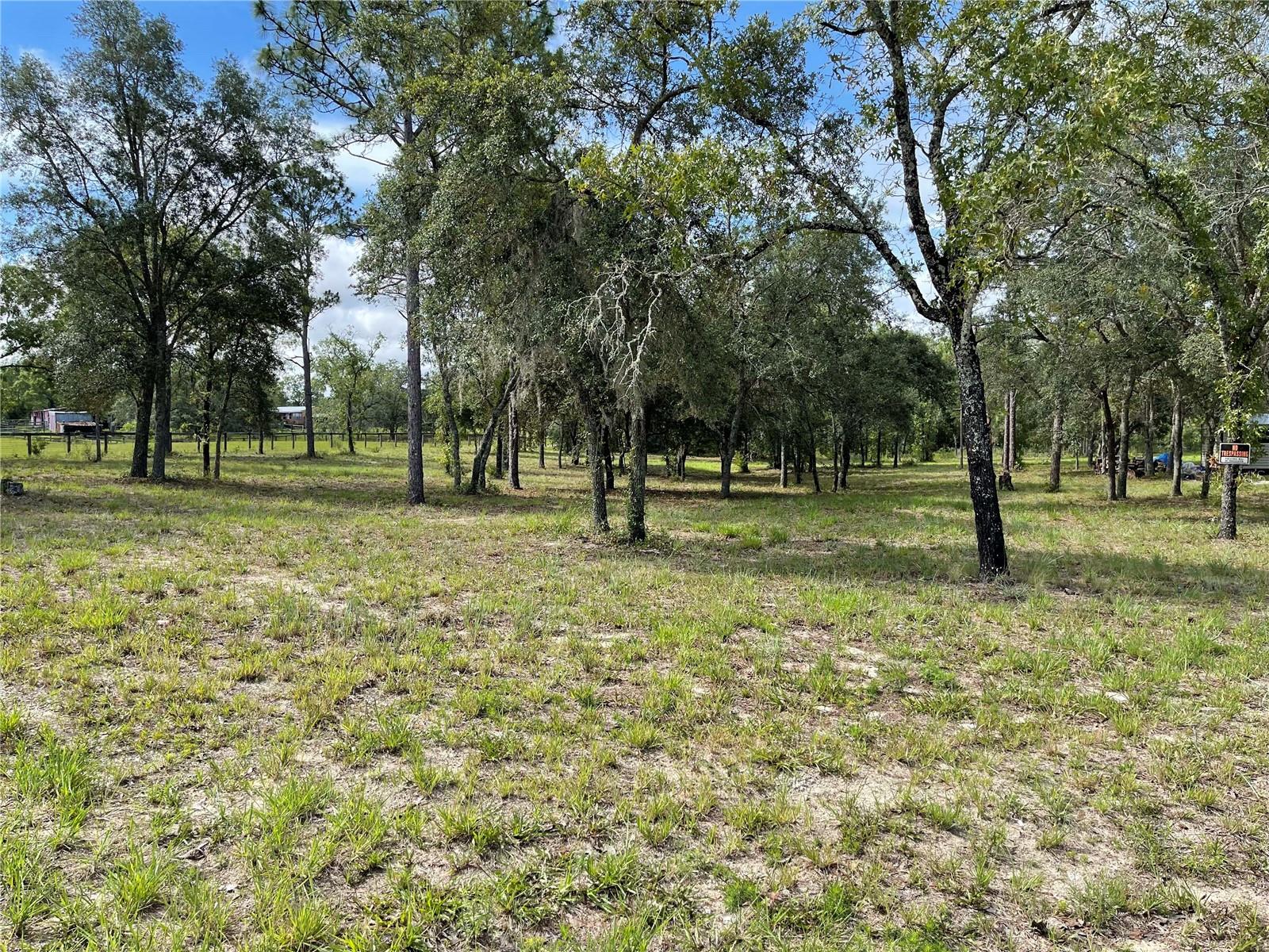 Fantastic opportunity to own 1.25 acres in Morriston. Beautiful cleared lot with oak and pine trees ready for you to build. Zoned Agricultural/Rural Residence allowing for mobile or site-built homes. Parcel measures about 165' on the road and 330' deep. Close to Goethe State Forest (2 miles), Black Prong Equestrian Center (5 miles), HITS Ocala (13 miles) and World Equestrian Center (23 miles). 10 minutes to Williston, 25 minutes to Dunnellon, 35 minutes from Gainesville, and 35 minutes from Ocala.
