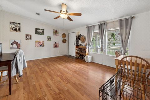 Tiny photo for 16242 NW 130th Street, Williston, FL 32696 (MLS # GC538121)