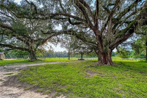 Tiny photo for 16242 NW 130th Street, Williston, FL 32696 (MLS # GC538121)