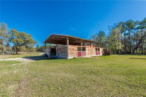 Tiny photo for 16242 NW 130th Street, Williston, FL 32696 (MLS # GC538121)