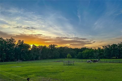 Tiny photo for 16242 NW 130th Street, Williston, FL 32696 (MLS # GC538121)