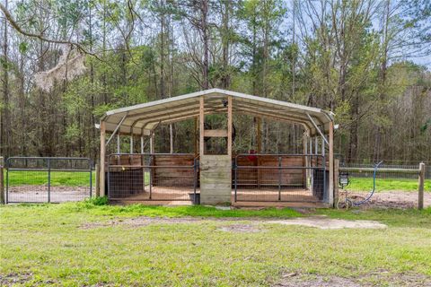 Tiny photo for 16242 NW 130th Street, Williston, FL 32696 (MLS # GC538121)