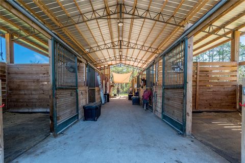 Tiny photo for 16242 NW 130th Street, Williston, FL 32696 (MLS # GC538121)