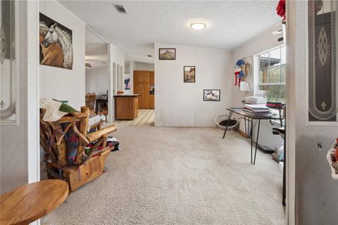 Tiny photo for 16242 NW 130th Street, Williston, FL 32696 (MLS # GC538121)