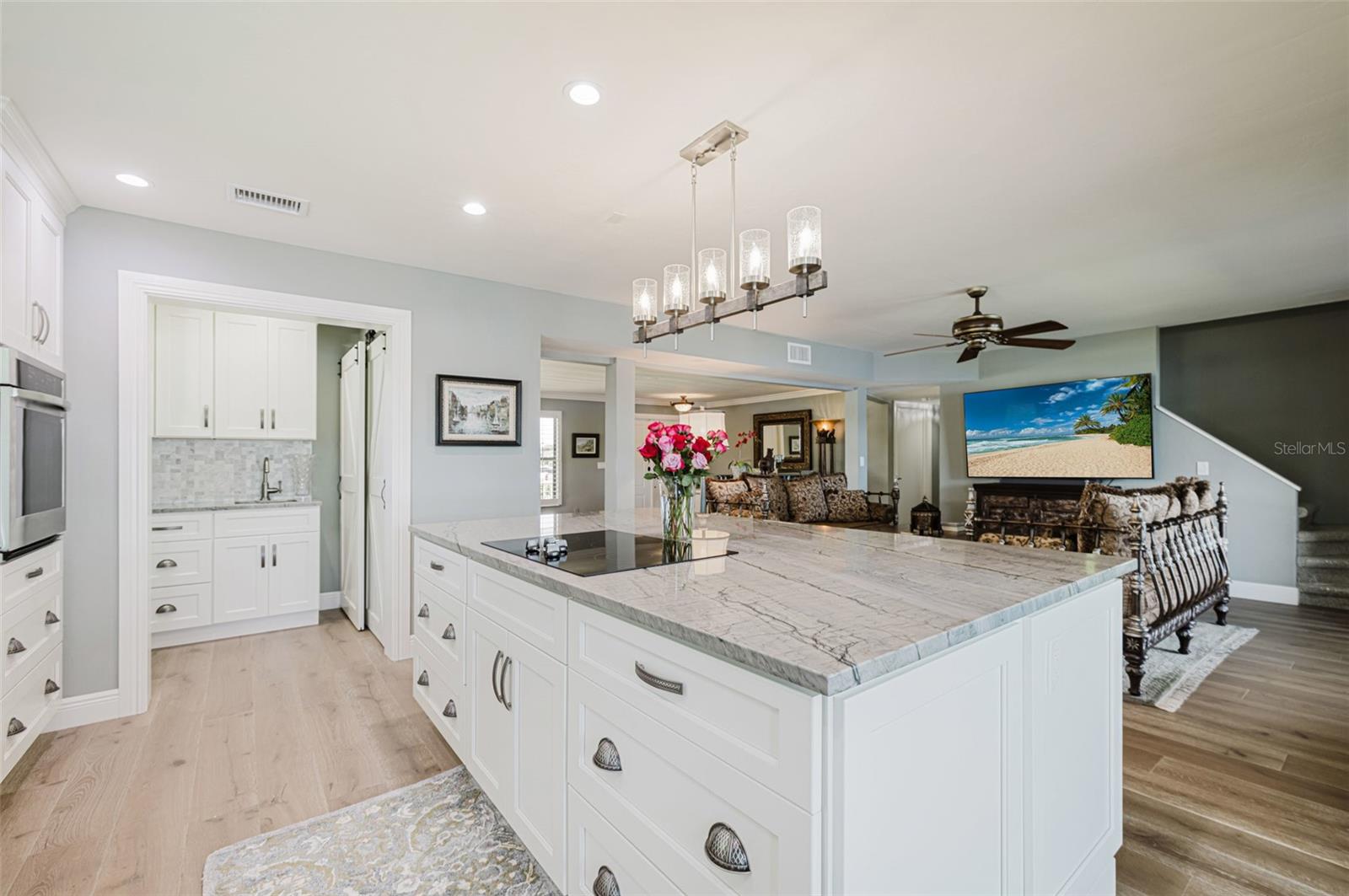 FORT MYERS SHORES - Residential