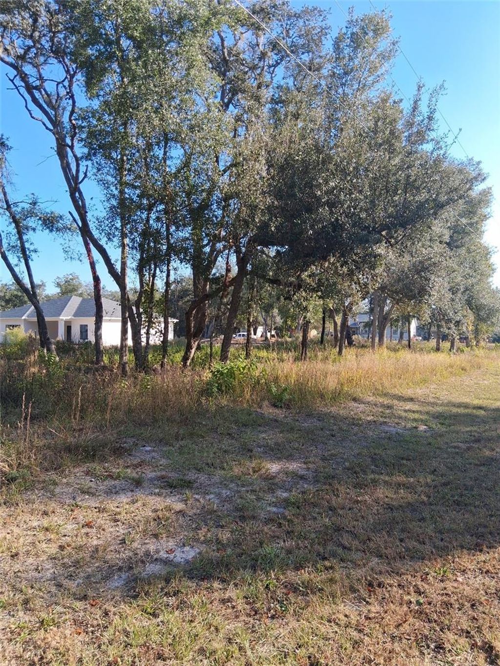 Photo of 0 August Avenue, Webster, FL 33597 (MLS # W7880932)