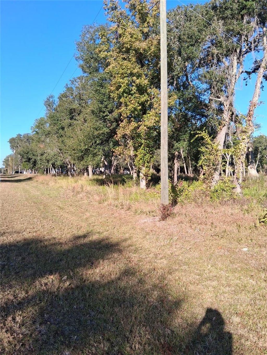 Photo of 0 August Avenue, Webster, FL 33597 (MLS # W7880932)