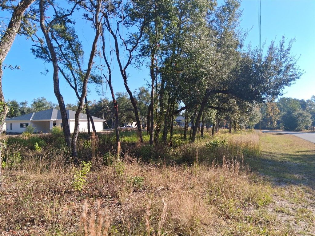 Photo of 0 August Avenue, Webster, FL 33597 (MLS # W7880932)
