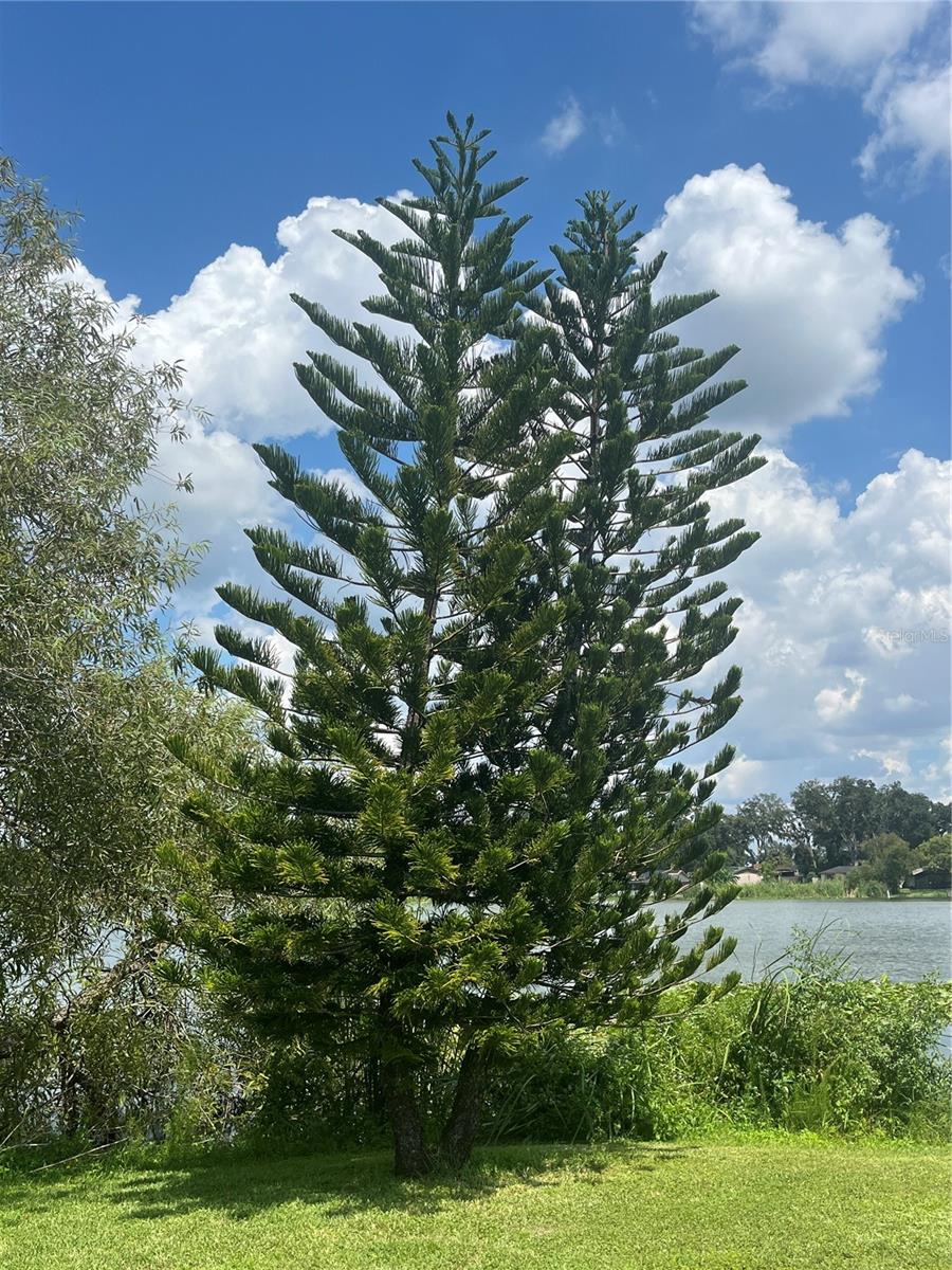 SHANGRI LA II SUB PHAS - Residential