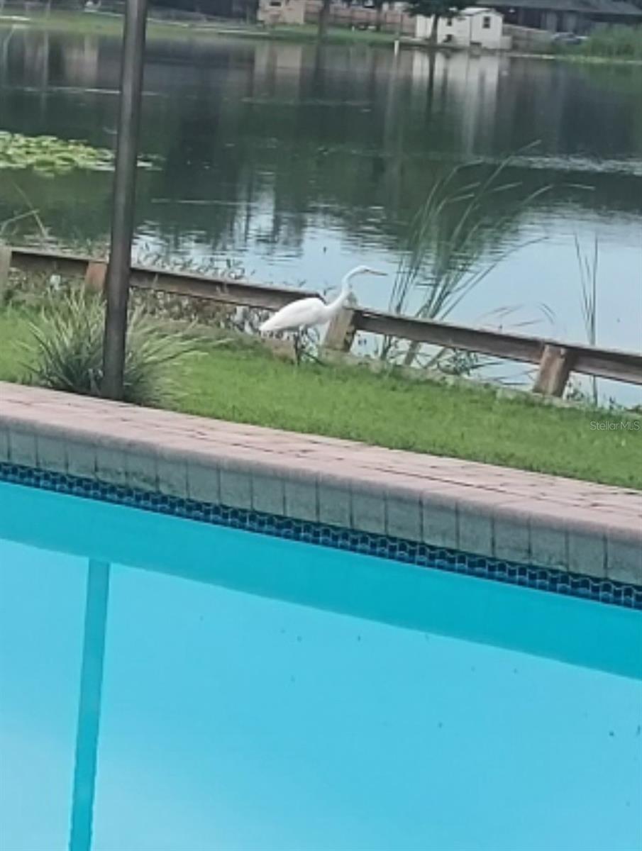 SHANGRI LA II SUB PHAS - Residential