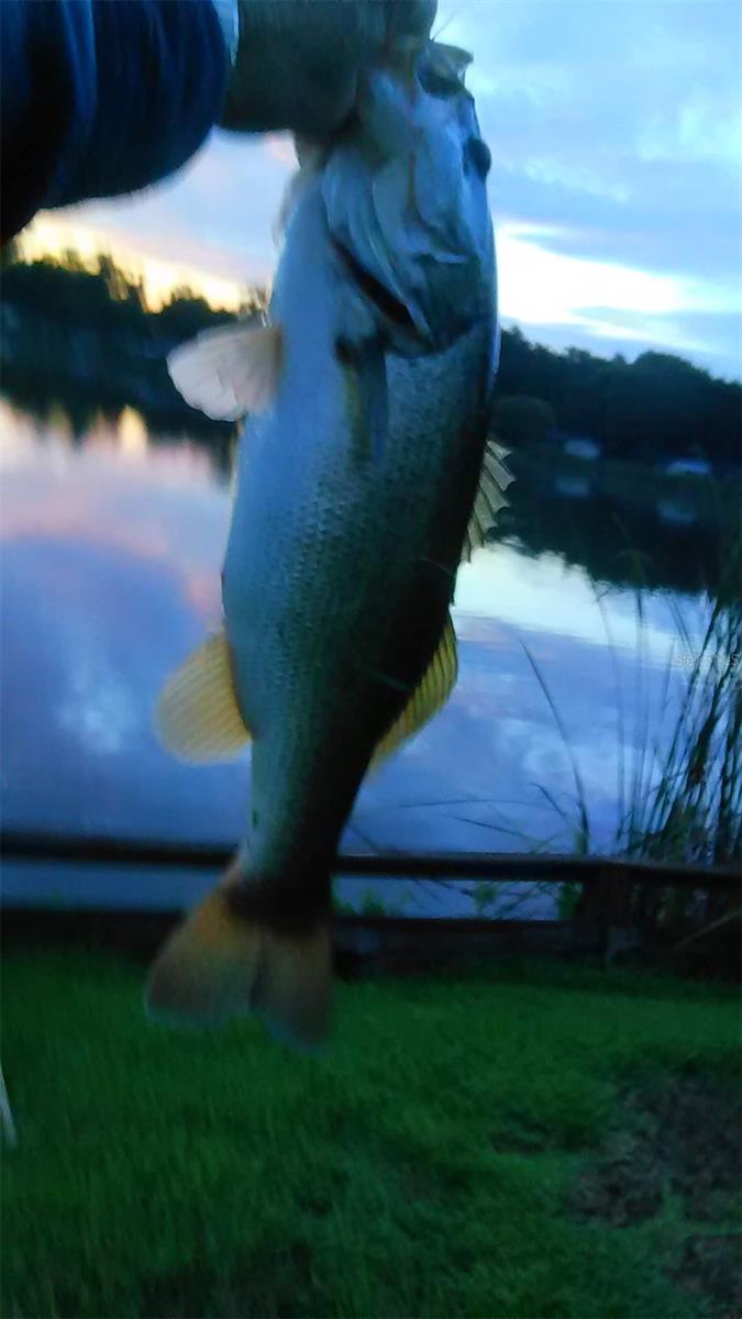 SHANGRI LA II SUB PHAS - Residential