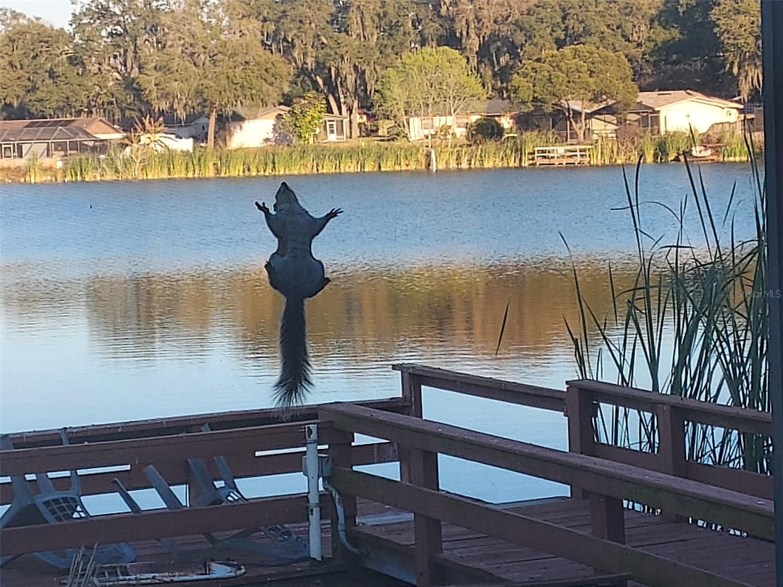 SHANGRI LA II SUB PHAS - Residential