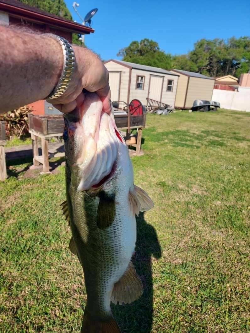 SHANGRI LA II SUB PHAS - Residential