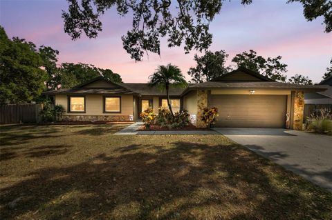 Photo of 415 Bayfield Drive, Brandon, FL 33511 (MLS # TB8450886)