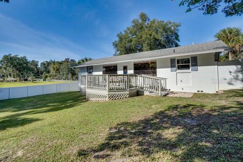 A home in MOUNT DORA