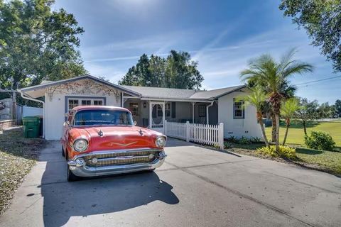 A home in MOUNT DORA