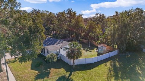 A home in MOUNT DORA