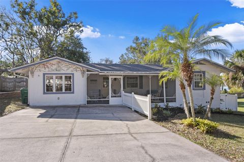 A home in MOUNT DORA