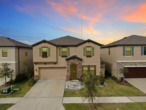 A home in LITHIA