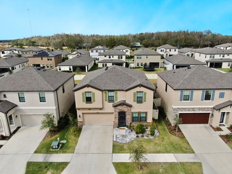 A home in LITHIA