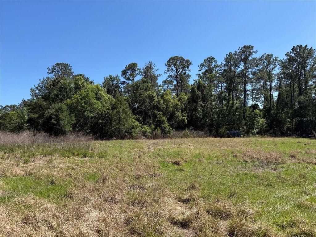 Photo of 0 Powell Road, Brooksville, FL 34604 (MLS # W7885040)