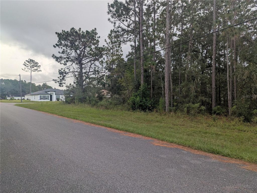 Photo of SW 132nd Street, Ocala, FL 34470 (MLS # OM711235)