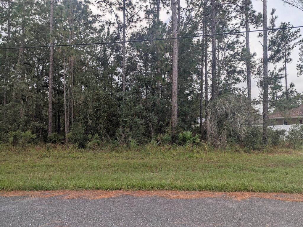 Photo of SW 132nd Street, Ocala, FL 34470 (MLS # OM711235)