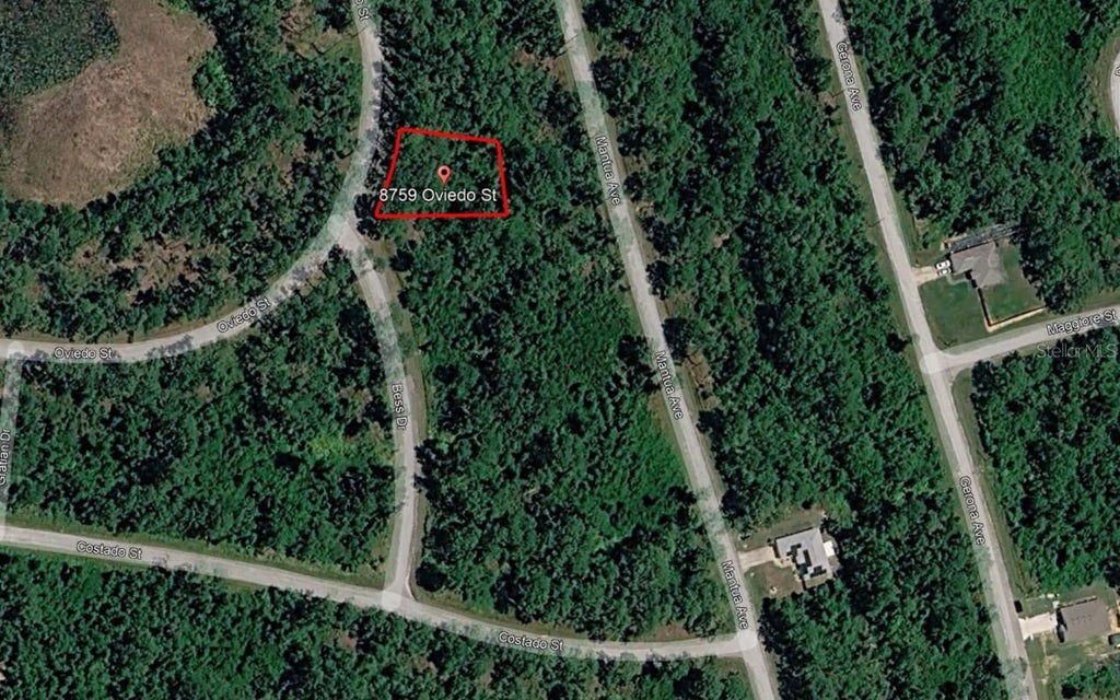 Photo of 8759 Oviedo Street, Sebring, FL 33872 (MLS # O6452500)