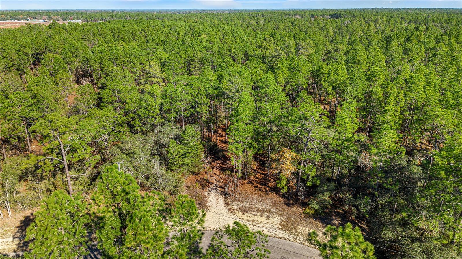 CITRUS SPGS UNIT 10 - Land