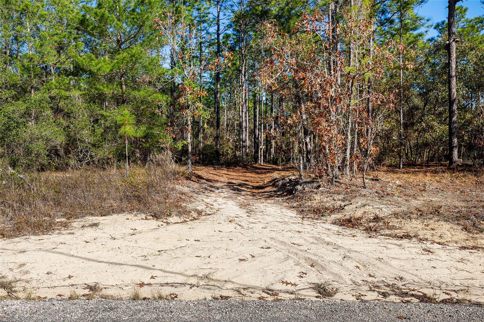 CITRUS SPGS UNIT 10 - Land