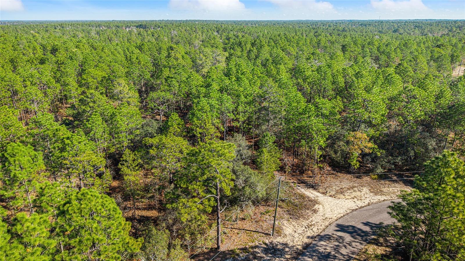 CITRUS SPGS UNIT 10 - Land