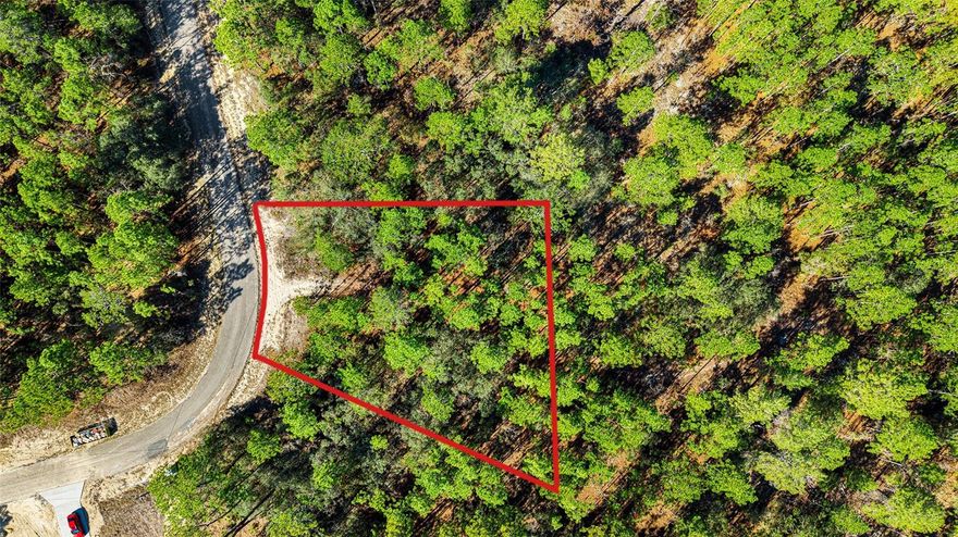 Bring your plans to life on this spacious vacant lot just under 1 acre in Citrus Springs. Set on a quiet street, this property offers privacy, open space, and the opportunity to create your own retreat or full-time residence.

The location blends calm living with everyday convenience. Schools, shopping, and golf courses are minutes away, the Withlacoochee State Trail is close for outdoor recreation, and Crystal River is only a 15-minute drive for boating, springs, and dining.

No HOA means fewer limitations and more control over your future home. Whether you are building now or holding for the future, this Citrus Springs vacant lot is a smart opportunity.