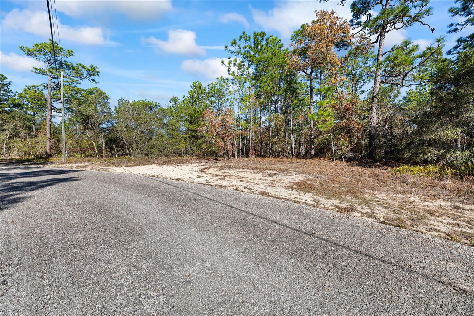 CITRUS SPGS UNIT 10 - Land