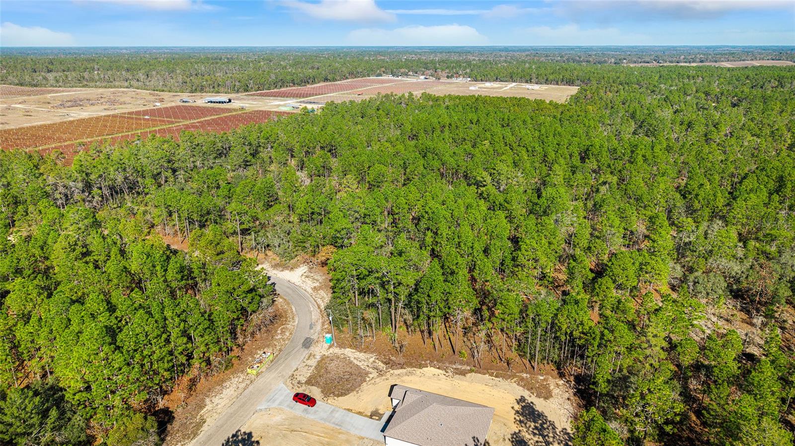 CITRUS SPGS UNIT 10 - Land